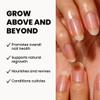 LONDONTOWN Nail Revival Duo  2-Piece Set of Cuticle Remover & Restorative Nail Cream for Smooth Cuticles, Hydrated, Healthy-Looking Nails, 0.4 Fl Oz Each view 2