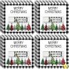 30 Pack Christmas Lip Balm Gift Bulk, Moisturizing Nourishing Lip Balm Appreciation Gift, Xmas Holiday Birthday Party Favors Stocking Stuffers for Women Men Coworker Employee Teacher (Christmas Tree) view 1