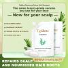 Tgideas Rosemary Biotin Amino Acid Shampoo, Hair Growth Shampoo for Women and Men, Thinning Hair Loss Natural 8.45 fl oz, Two-Pieces view 3