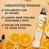 H.b. Essences Volumizing Mousse, Weightless Volume, All Day Hold Mousse for Fine Hair, 6.8 fl oz (Pack of 1) view 2