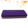 CATIEBYE Portable Purple Foot Callus Remover Pumice Stone for Dead Skin Exfoliation and Cracked Heel Smoothing Lightweight Pedicure Tool for Feet Care and Callus Removal view 2