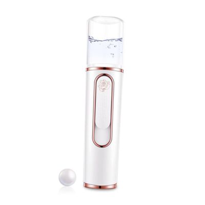 Didiseaon Portable Mini Nano Mist Facial Steamer Skin Care Sprayer with Non Slip Abs Body Rechargeable Handheld Cooler for and Pore Moisturizing White