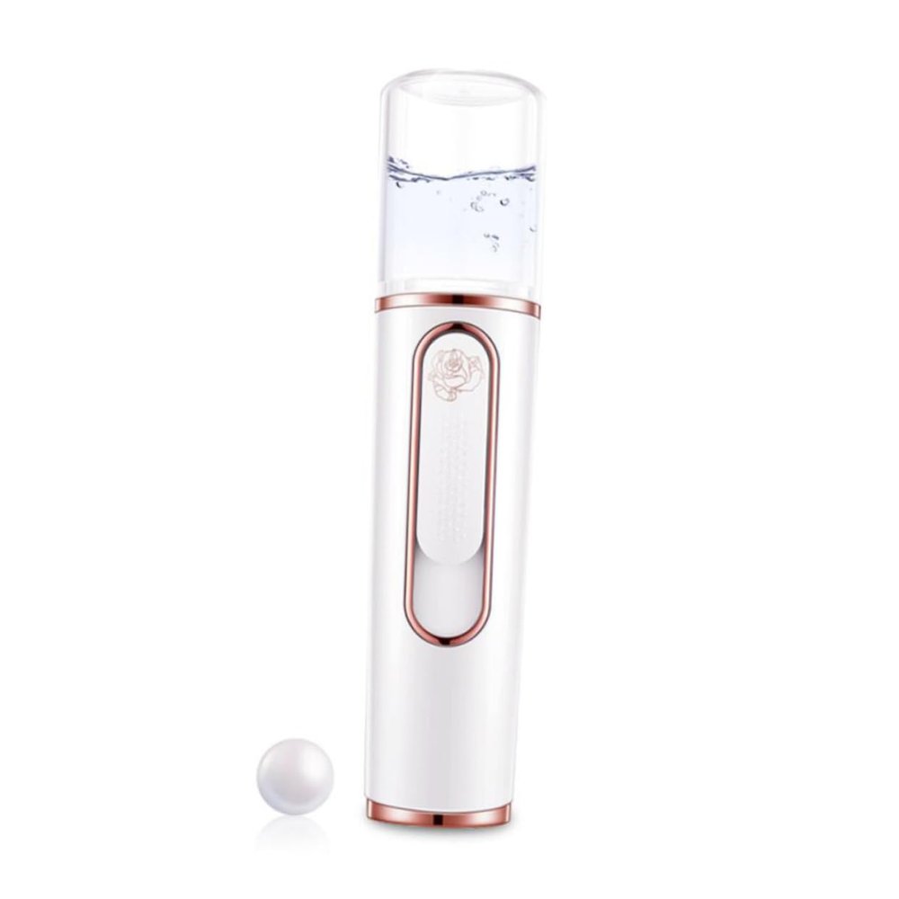 Didiseaon Portable Mini Nano Mist Facial Steamer Skin Care Sprayer with Non Slip Abs Body Rechargeable Handheld Cooler for and Pore Moisturizing White