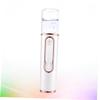 Didiseaon Portable Mini Nano Mist Facial Steamer Skin Care Sprayer with Non Slip Abs Body Rechargeable Handheld Cooler for and Pore Moisturizing White view 3
