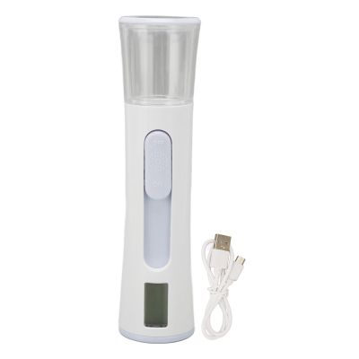 Double Headed Nano Facial Steamer Moisturizing Hydrating Face Sprayer with LCD Screen Display Skin Water Oil Test Function for Women Gift Beauty Care