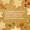 Native Holiday Hand Soap Set, Sugar Cookie and Winter Cashmere Scents, 13 Fl Oz Each, Sulfate-Free, 2-Pack view 2