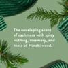 Native Holiday Hand Soap Set, Sugar Cookie and Winter Cashmere Scents, 13 Fl Oz Each, Sulfate-Free, 2-Pack view 3