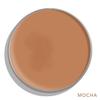 DAUGHTER. EARTH High Coverage Concealer For Face Makeup, Lightweight & Breathable Silicone Free 100% Vegan Make Up, Creaseless Finish | Pro Concealer With Bakuchiol | Mocha view 2