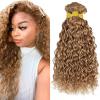 Human Hair For Boho Braids 3 Bundles 08 10 12 Inch Water Curly Wave Human Braiding Hair 12A Brazilian No Weft Hair Extensions for Bohemian Knotless Braids Bundles For Braiding 27# view 1