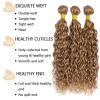 Human Hair For Boho Braids 3 Bundles 08 10 12 Inch Water Curly Wave Human Braiding Hair 12A Brazilian No Weft Hair Extensions for Bohemian Knotless Braids Bundles For Braiding 27# view 2
