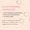 One Love Organics Botanical D Moisture Mist  Hydrating Face Mist & Toner with Vitamin D, Certified Organic & Cruelty Free 2 oz view 4