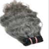 100% Raw Unprocessed Natural Curly Grey Human Hair Bundle  Double Weft, 100g  Cuticle Aligned Remy Extensions for Weave, Wig Making & Styling (10 Inch) view 1