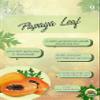 8.4oz Organic papaya leaves skin and hair care Powder 250G view 2