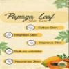 8.4oz Organic papaya leaves skin and hair care Powder 250G view 3