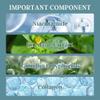 2PCS Natural Camellia Anti Aging cream, Moisturizing Firming Hyaluronic Lightening Repairing Smooth Skincare Whitening Creams view 3