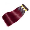 GLSMOSNW Ombre Burgundy Human Hair Bundles 1B/99j Straight Bundles 14 16 18 Inch Unprocessed Brazilian Human Hair Extensions Black To Burgundy Ombre Bundle view 3