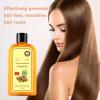 Ginger Hair Growth Shampoo,Anti Hair Loss Shampoo with Ginger Plant Extract, Instant Regrowth Organic Natural Gingers Repairs Damaged Hair Suitable for All Hair Types 8.8Fl Oz view 2