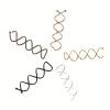 100/200 Pcs Minimalist Spiral Hairpin For Women  Secure Shape-Fixing Hair Accessory(Coffee,100pcs) view 1