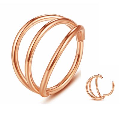 20G 18G 16G 14G Single/Double Hoop Stainless-Steel Seamless-Hinged-Piercing Segment-Clicker Nose-Ring-Hoop : Diameter 6mm 8mm 10mm 12mm ilage s