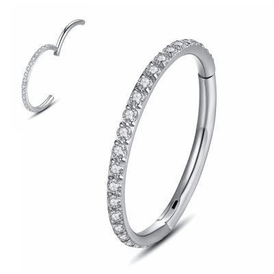 20G 18G 16G 14G Single/Double Hoop Stainless-Steel Seamless-Hinged-Piercing Segment-Clicker Nose-Ring-Hoop : Diameter 6mm 8mm 10mm 12mm ilage s