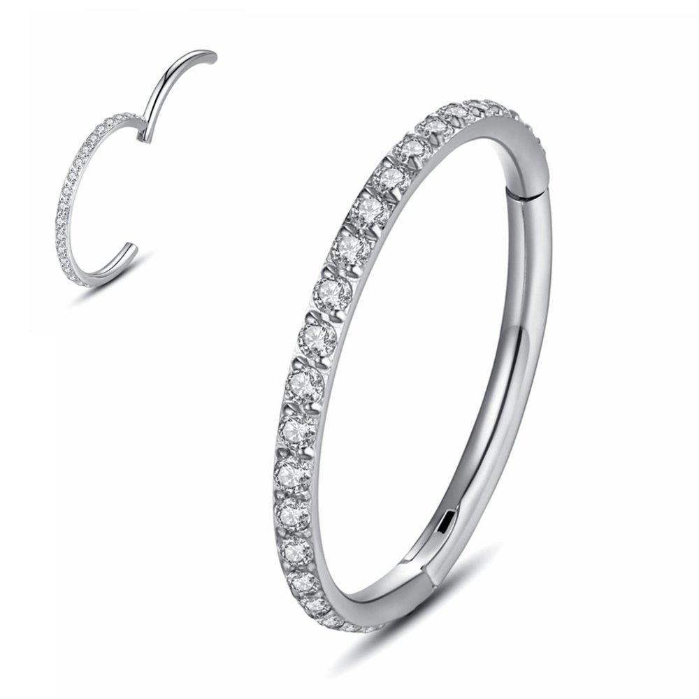 20G 18G 16G 14G Single/Double Hoop Stainless-Steel Seamless-Hinged-Piercing Segment-Clicker Nose-Ring-Hoop : Diameter 6mm 8mm 10mm 12mm ilage s
