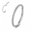 20G 18G 16G 14G Single/Double Hoop Stainless-Steel Seamless-Hinged-Piercing Segment-Clicker Nose-Ring-Hoop : Diameter 6mm 8mm 10mm 12mm ilage s view 1