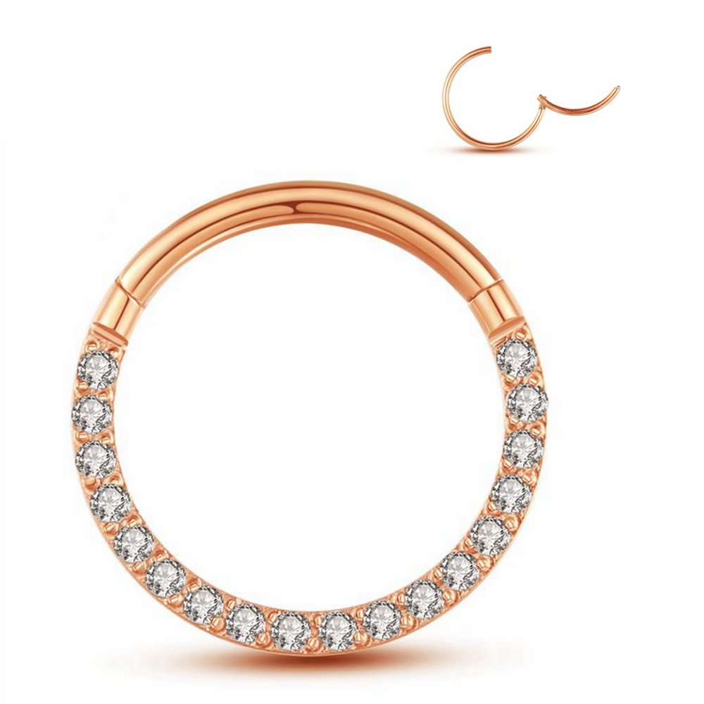 20G 18G 16G 14G Single/Double Hoop Stainless-Steel Seamless-Hinged-Piercing Segment-Clicker Nose-Ring-Hoop : Diameter 6mm 8mm 10mm 12mm ilage s