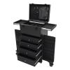 Cosmetology Case on Wheels, Rolling Makeup Train Case Nail Travel Case for Nail Tech, Professional Rolling Makeup Case with 4 Drawers, Lockable Makeup Train Case for Make Up Hairstylists Nail Tech view 1