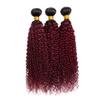 1B99J Bundle Burgundy Kinky Curly Human Hair Bundles Two Tone Black and Burgundy Bundles Human Hair 14 16 18 Inch Ombre Red Curly Water Bundle view 4