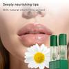 3 Pack Chamomile Lip Oil Set - Hydrating Glossy Lip Care with Natural Formula, Vegan & Cruelty-Free Clear Lip Gloss for Dry Lips, Nourishing Essential view 2