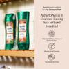 Suave Moisturizing Shampoo With 100% Natural Almond & Shea Butter, Replenishing Hair Care For Dry, Damaged Hair for Women & Men, No Parabens, Phthalates, or Dyes, 6 Pack, 12.6 FL OZ EA view 2