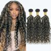 10A Grade P1B/27 Jerry Curly Human Hair Bundles 22 24 26 Inch 3 Bundles Deal Honey Blonde Highlight Brazilian Hair view 1