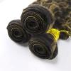 10A Grade P1B/27 Jerry Curly Human Hair Bundles 22 24 26 Inch 3 Bundles Deal Honey Blonde Highlight Brazilian Hair view 4
