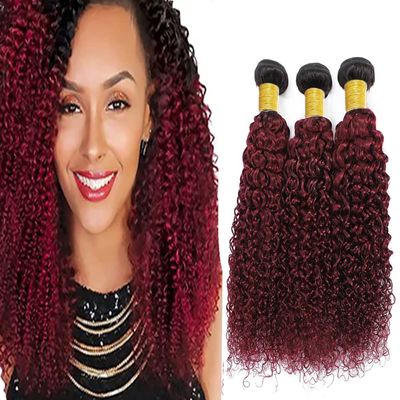 Burgundy Human Hair 1b99j Bundles Human Hair Ombre Kinky Curly Bundles inch Brazilian Virgin Remy Hair Extensions Two Tone Black To Burgundy Bundle 24 26 28 inch