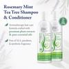 Beauty Without Cruelty Shampoo and Conditioner Set, Clarifying Rosemary Mint Tea Tree Aromatherapy Hair & Scalp Treatment, SLS-Free, Vegan-Friendly & Cruelty-Free, 16 Oz Ea view 4