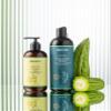Aleavia Cucumber Melon Prebiotic Body Lotion  Lightly Scented, All-Natural Moisturizing Body Lotion with Organic Essential Oils  12 Oz view 3