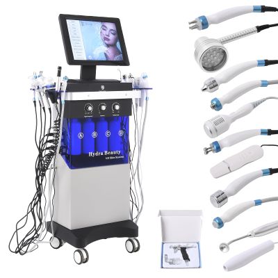 14-in-1 Hydrogen Oxygen Facial Skin Care Machine Home and Office