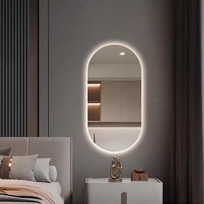 24V Full-Power Bathroom Vanity Mirror with Lights for Wall - Frameless Fogless Pill-Shaped Lighted Glass Mirror for Makeup and Shaving(Vertical,50x80cm)