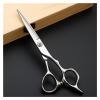 5.5 Inch Hairdressing and Structural Scissors,Flat Scissors,Special for Hairdressers Hair Cutting Scissors view 1