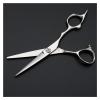 5.5 Inch Hairdressing and Structural Scissors,Flat Scissors,Special for Hairdressers Hair Cutting Scissors view 2