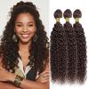 Dark Brown Human Hair Bundles Color 4 Jerry Curly 12 14 16 Inch Brazilian Virgin Double Weft Chocolate Brown Hair Extensions Soft Smooth Bouncy for Black Women view 1