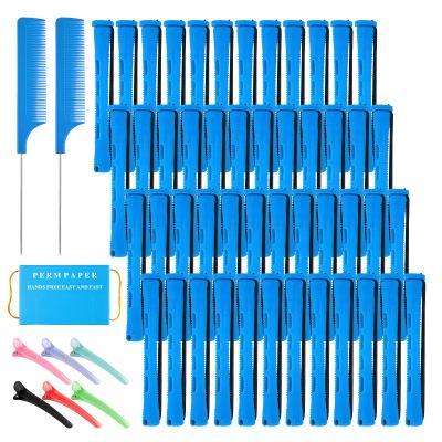 48 Pcs Small Perm Rods Set,Blue Plastic Small Rods for Hair,Women Perm Rod for Short Hair with 6 Hairs Clips,2 Combs 1 Box Permpaper,for Cold Wave Perming and Hairdressing Styling Essential Tools