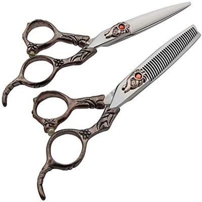 2-Piece Professional Hairdressing Scissors Set - Hair Shears and Thinning Shears