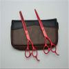 5.5 Inch Professional Hairdressing Scissors Set - Barber Haircutting Tools with Red Flat Screw for Salon & Home Use view 3