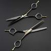 5.5 inch Two-Tailed Scissor Set - Black Thinning Hair Cutting Shears, Hairdressing Scissors view 1