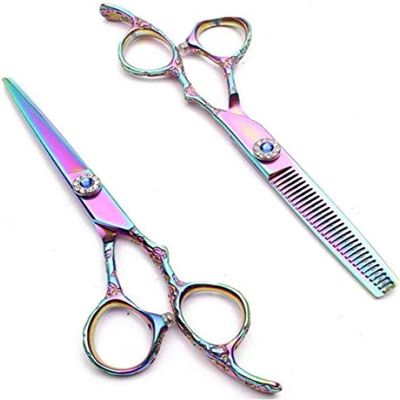 6.0 Inch Hairdressing Scissor Set - Plum Handle Salon Hair Cutting Shears with Thinning Capability