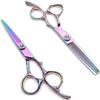 6.0 Inch Hairdressing Scissor Set - Plum Handle Salon Hair Cutting Shears with Thinning Capability view 1