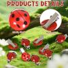 20Pcs Fun Ladybug Hair Clips for Women & Girls, Whimsical Cute Bug Hair Accessories with Metal Grip | Fun Decorative Clips for Daily Use & Cosplay Themed Party & Halloween view 3