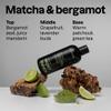 ATTITUDE Men's Shampoo and Conditioner 2-in-1, Fortifying For Fragile Hair, With Caffeine and Green Tea, 97% Natural Origin Ingredients, EWG Verified, Matcha & Bergamot, 14 Fl Oz (Pack of 3) view 2
