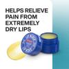 Blistex Lip Medex, 0.25 Ounce, Medicated Relief with Immediate Cooling, Soothes and Protects, Advanced Hydration, Restores Healthy Moisture Balance to Lips, 12 Pack view 2